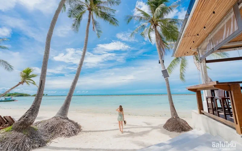 Chaweng Regent Beach Resort : Le Vétéran de Chaweng Qui Tient Encore la Plage