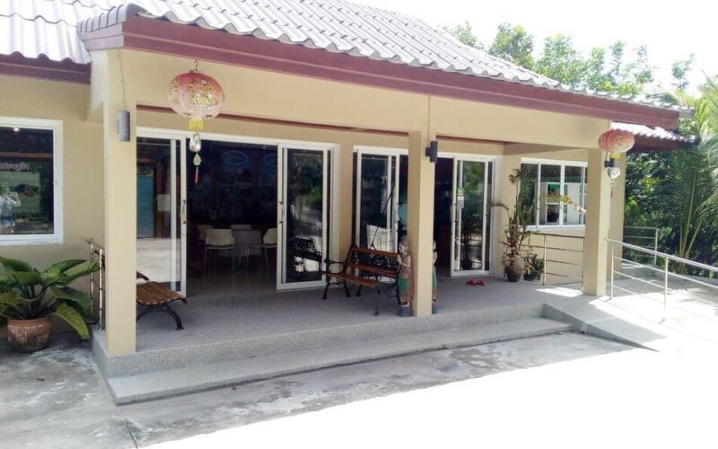 Fermes de cocotiers à Koh Samui : plongée dans la culture locale
