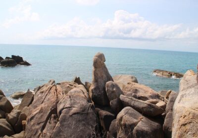 Hin Ta Hin Yai : les rochers grand-père grand-mère de Koh Samui